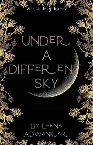 Under A Different Sky Joshua Newnham