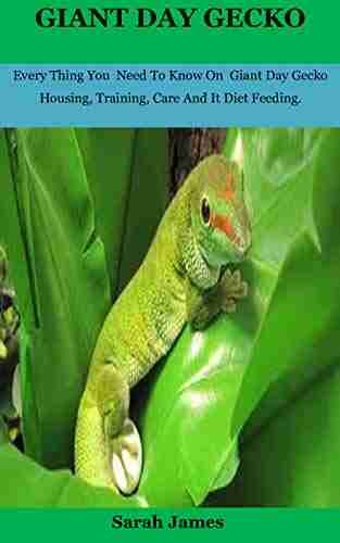 Giant Day Gecko: Every Thing You Need To Know On Giant Day Gecko Housing Training Care And It Diet Feeding