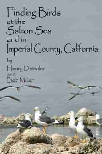 Finding Birds at the Salton Sea and in Imperial County California