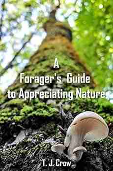 A Forager S Guide To Appreciating Nature: Foraging Tips For Beginners And Experts Alike