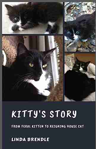 KITTY S STORY: FROM FERAL KITTEN TO REIGNING HOUSECAT