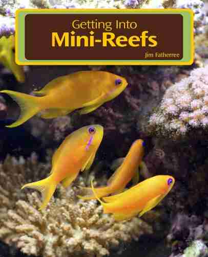 Getting Into Mini Reefs (For the marine aquarium)