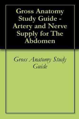 Gross Anatomy Study Guide Artery And Nerve Supply For The Abdomen