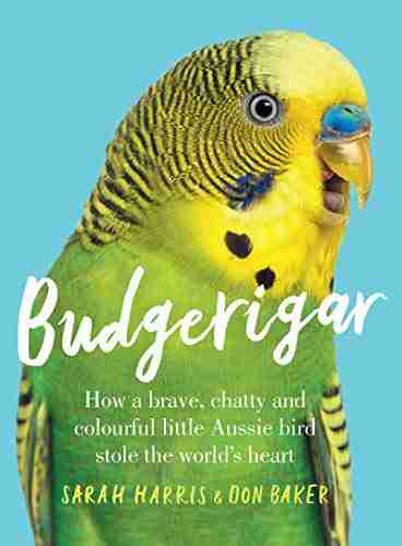 Budgerigar: How A Brave Chatty And Colourful Little Aussie Bird Stole The World S Heart