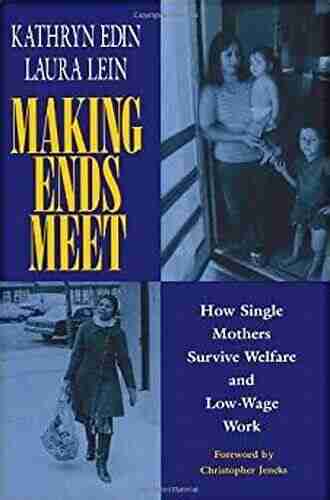 Making Ends Meet: How Single Mothers Survive Welfare And Low Wage Work (European Studies)