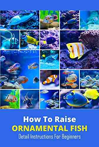 How To Raise Ornamental Fish: Detail Instructions For Beginners