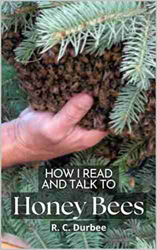 How I Read And Talk To Honey Bees