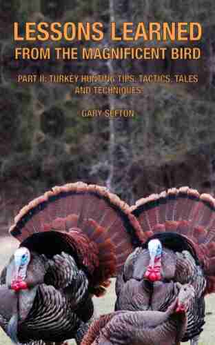 Lessons Learned from the Magnificent Bird Part II: Turkey Hunting Tips Tactics Tales and Techniques