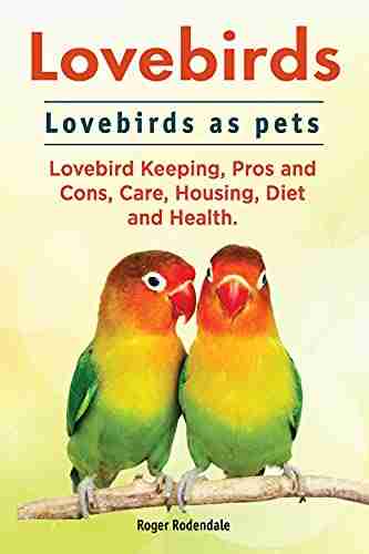 Lovebirds Lovebirds as pets Lovebird Keeping Pros and Cons Care Housing Diet and Health