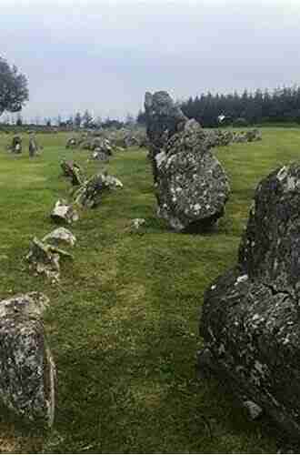 Settlement in the Irish Neolithic: New discoveries at the edge of Europe (PREHISTORIC SOCIETY RESEARCH PAPERS 6)