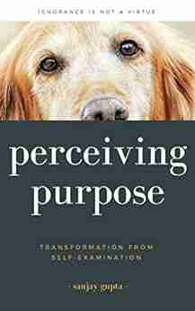 Perceiving Purpose: Transformation From Self Examination