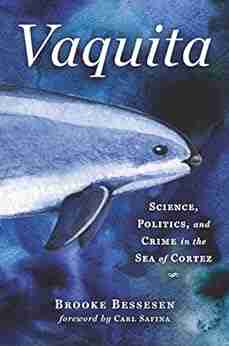 Vaquita: Science Politics And Crime In The Sea Of Cortez