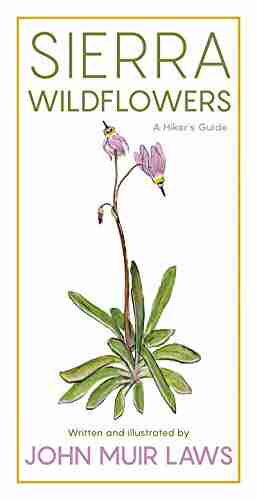 Sierra Wildflowers: A Hiker S Guide