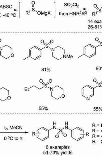 Sulfur Dioxide Insertion Reactions For Organic Synthesis (SpringerBriefs In Molecular Science)