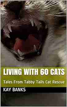 Living With 60 Cats: Tales From Tabby Tails Cat Rescue