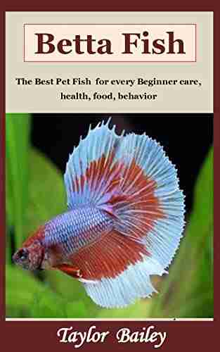 Betta Fish: The Best Pet Fish for every Beginner care health food behavior