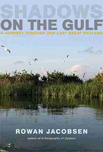 Shadows On The Gulf: A Journey Through Our Last Great Wetland