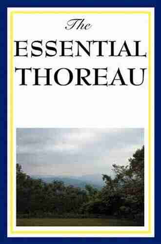 The Essential Thoreau Stephen F Arno