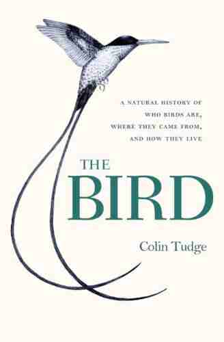 The Bird: A Natural History of Who Birds Are Where They Came From and How They Live