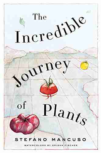 The Incredible Journey Of Plants