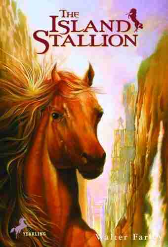 The Island Stallion (Black Stallion 4)