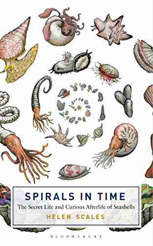 Spirals In Time: The Secret Life And Curious Afterlife Of Seashells