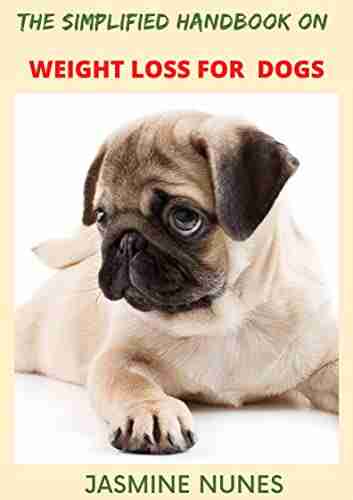 The Simplified Handbook On Weight Loss For Dogs