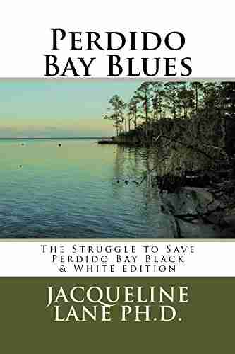 Perdido Bay Blues: The Struggle To Save Perdido Bay