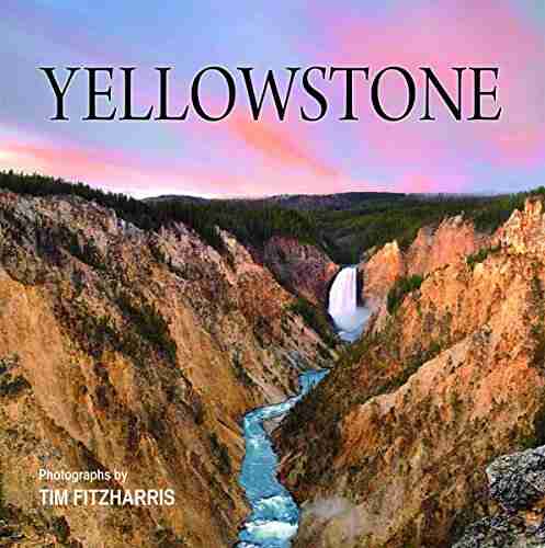 Yellowstone Tim Fitzharris