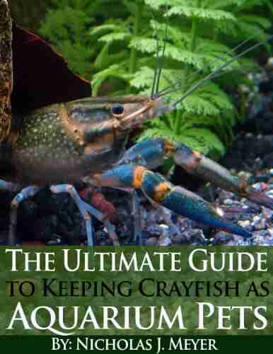 The Ultimate Guide To Keeping Crayfish As Aquarium Pets