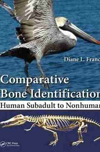 Comparative Bone Identification: Human Subadult To Nonhuman