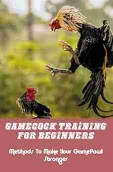 Gamecock Training For Beginners: Methods To Make Your Gamefowl Stronger