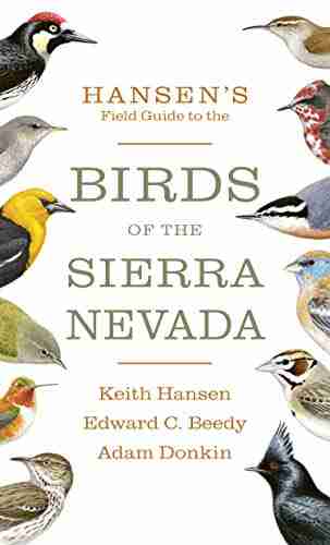 Hansen S Field Guide To The Birds Of The Sierra Nevada