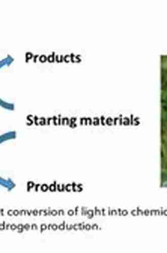 Solar to Chemical Conversion: Photocatalytic and Photoelectrochemical Processes