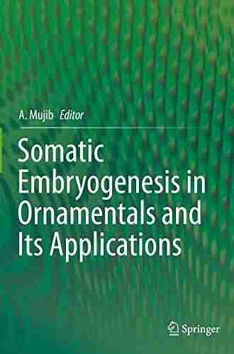 Somatic Embryogenesis In Ornamentals And Its Applications