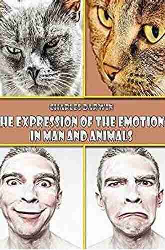 The Expression Of Emotion In Man And Animals (Illustrated)