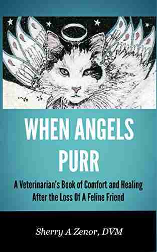 When Angels Purr: A Veterinarian S Of Comfort And Healing After The Loss Of A Feline Friend