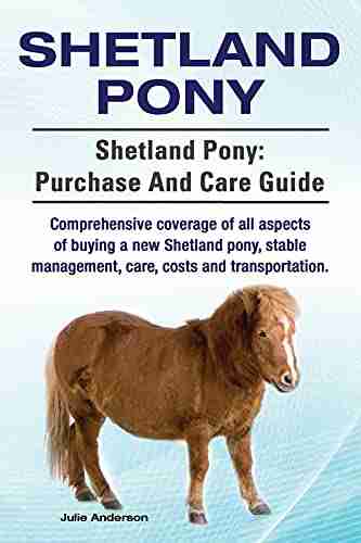 Shetland Pony Shetland Pony Comprehensive Coverage Of All Aspects Of Buying A New Shetland Pony Stable Management Care Costs And Transportation Shetland Pony: Purchase And Care Guide